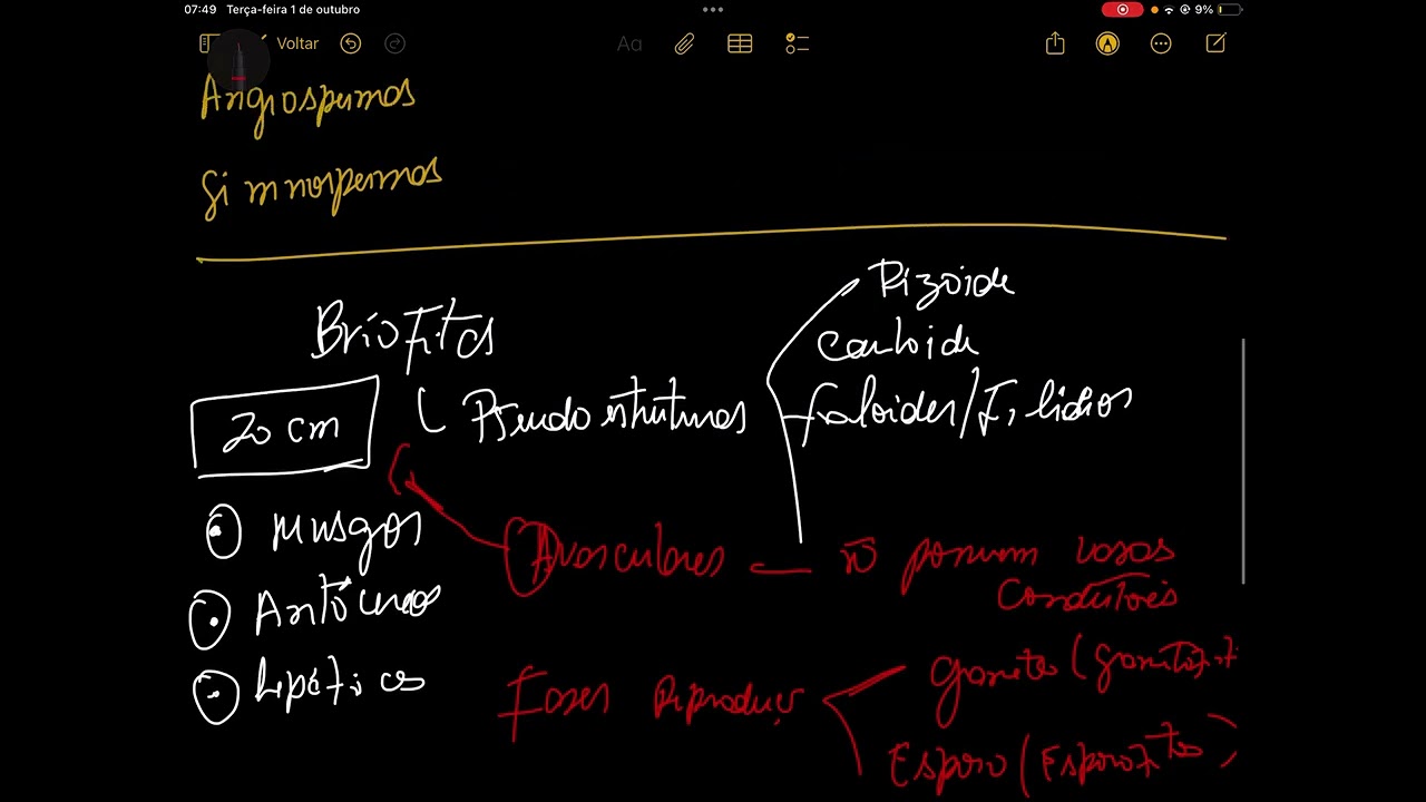Diversidade dos vegetais