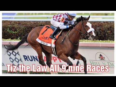 Tiz The Law-Tribute | All races