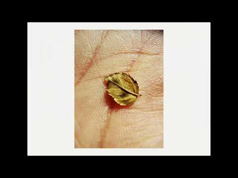 SFONK - Падащи листа (prod. by VLG)