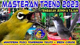 Download lagu Masteran Pleci Trend 2023 Tembakan Tulit Tulit sam... mp3