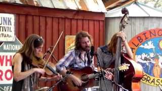 The Stray Birds at Albino Skunk 2013 -- San Antonio