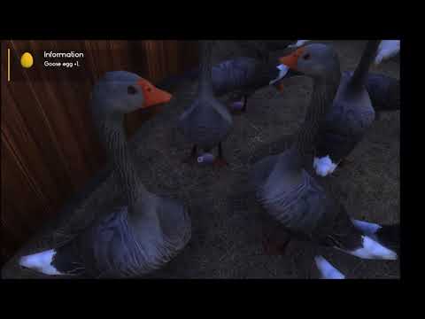 Farmers Dynasty Checking On The Green House