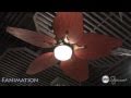 Fanimation A Revolutionary Design