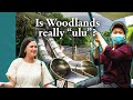 John Finds Out Why People Live In Woodlands (feat. Lydia Izzati)