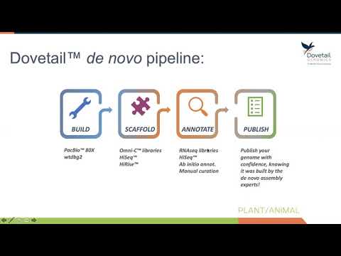 Dovetail Genomics: De Novo Genome Assembly