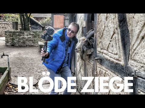 Elsass Herbst 2018 - Freilichtmuseum Elsass SPECIAL