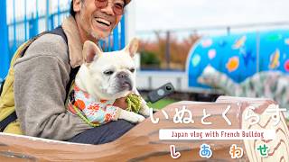 犬との暮らしが好きすぎる49才、伊豆旅行でシニア犬と訪れた心温まる場所とは