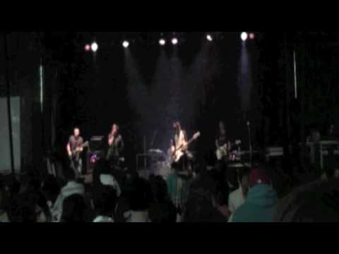 Jay and the Lovebirds