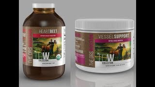 Dynamic Duo to Boost Nitric Oxide