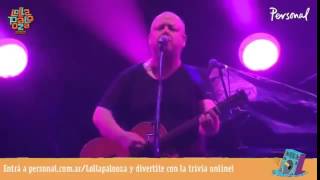 Pixies andro queen lollapalooza argentina2014