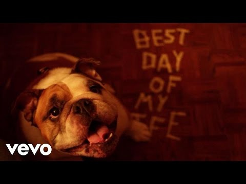 American Authors - Best Day Of My Life (Dog Version)