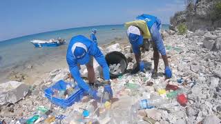 Don&#39;t Go Near The Water by The Beach Boys - Music Video