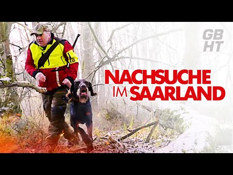 Germany's Boar Hunter Tour // -8 degrees Celsius, rock-hard ground, wild boar in sight // Winter ...