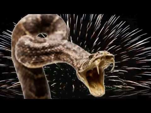 Dybvad sker der mokai hugorm