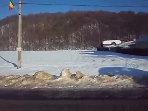 Teren com Sanduleni, com Brosteni, 2500 mp, 0740.612.604