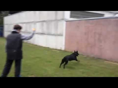 Bazooka von Pike´s Spirit - Push