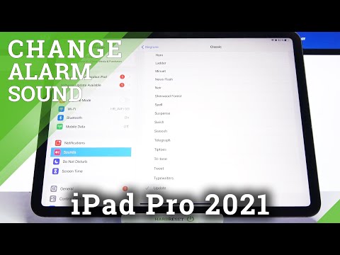 iPad Pro 2021 - Listen All ALert Tones