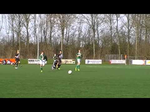 Zeerobben D1- SWZ D1