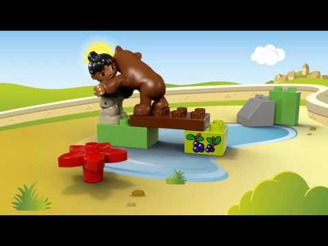 Vidéo LEGO Duplo 10576 : Le repas de l'ours brun