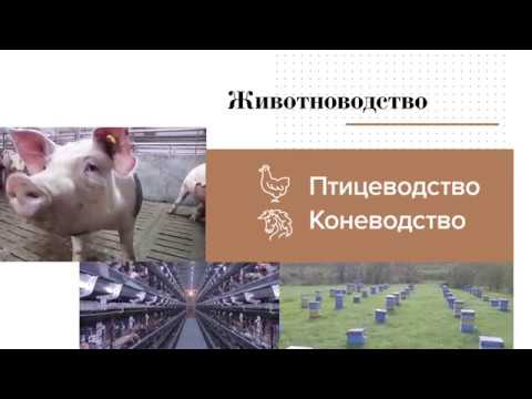Презентационный фильм об Алтайском крае 2017 Презентационный фильм об Алтайском крае 2017