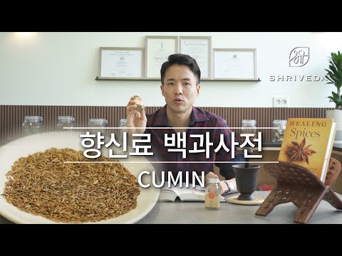 download lagu mp3 mp4 Spice Encyclopedia, download lagu Spice Encyclopedia gratis, unduh video klip Spice Encyclopedia