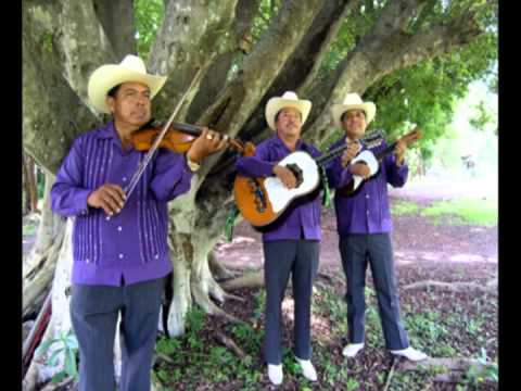 Camperos de Valles - Las conchitas     (Sólo audio)