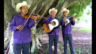 Camperos de Valles - Las conchitas     (Sólo audio)