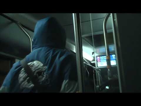 ZASH - "kalt&einsam" (prod. lilah) (official visualizer) 🏔