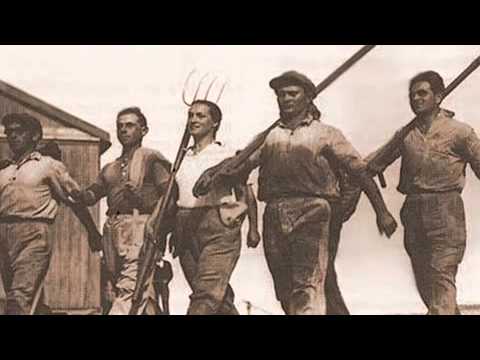 Hagevatron - Bamidron Hayorad Mhageve