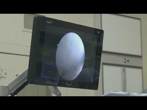 SynergyUHD4™ in a Veterinary Setting