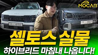 [모카] 신형 셀토스 실물, 최초 목격!...생각보다 훨씬 귀엽고 다부져, 사야하나요?