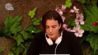 Tomorrowland 2013 - Alesso Years - live [HD]