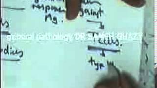 general pathology 28 : DR SAMEH GHAZY immunity