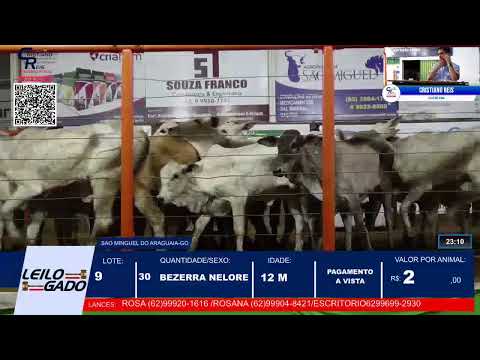 LEILÃO DA LEILOGADO  EM SÃO MIGUEL DO ARAGUAIA - GO 15/01/2026 | LEILÃO AO VIVO.