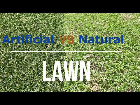 Natural lawn vs Artificial lawn the PROS & CONS by Ian Wilson Landscape Designer