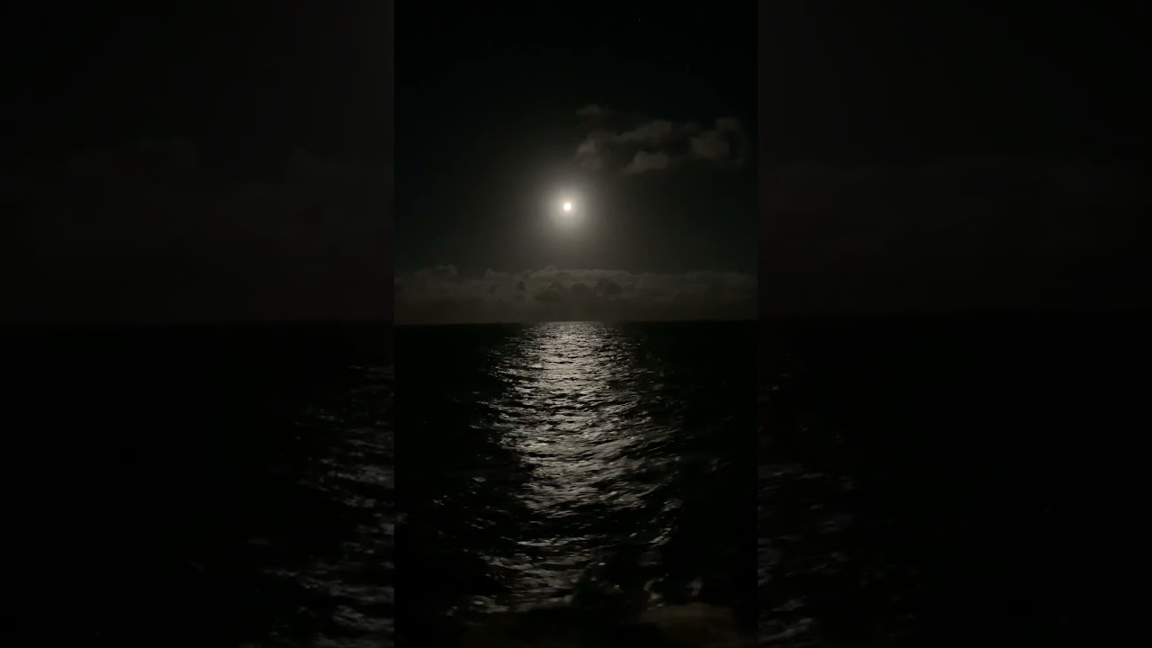 Moonlit Magic: Breathtaking Views of the Night Sky 🌙