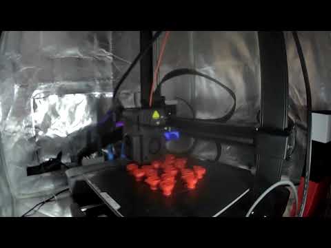 Dwayne The Croc Johnson 3d Print