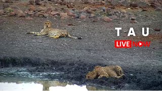 マディクウェ・ゲーム保護区