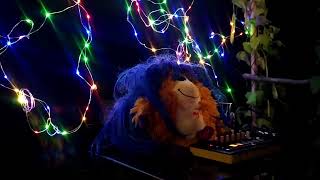 Funky TekOuse 120 bpm | Roland P-6 | Rien Ne M'empêche De Chanter ! #funkyhousemusic