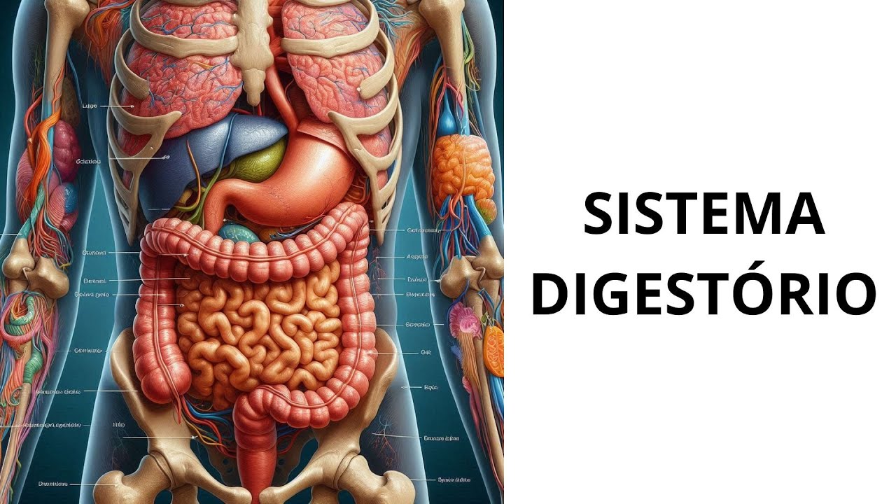 SISTEMA DIGESTÓRIO - AULA REVISIONAL 2.