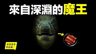[問卦] 鰻魚到底好吃在哪？？？