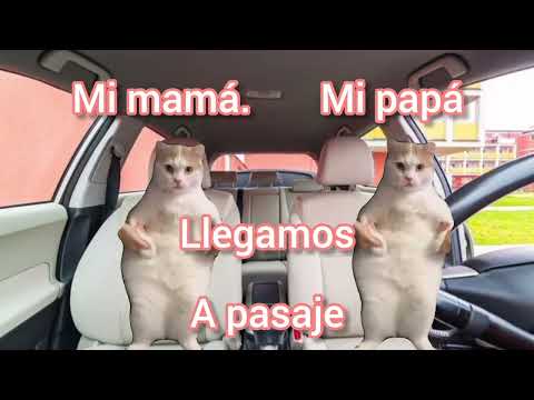 Memes De Gatos Ep1 T2 El Cumpleaños De Juan carlos