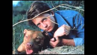 Pitbull Tribute video