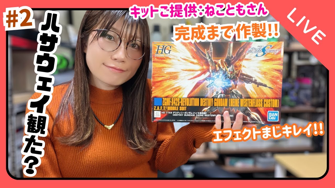 【LIVE】HG デスティニーガンダム(ハイネ専用機)作製②『ご提供：ねこともさん』
