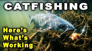 What's Working to Catch Catfish RIGHT NOW!
