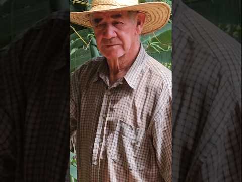 OS CARREIROS DE CÓRREGO DO BOM JESUS-MG