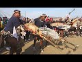 AMABUTHO UMHLABA UHLANGENE KWAMAFUNZA WITH DR NGIPHENI NGCOBO KUYEDULA UKUBA INSIZWA AMABUTHO