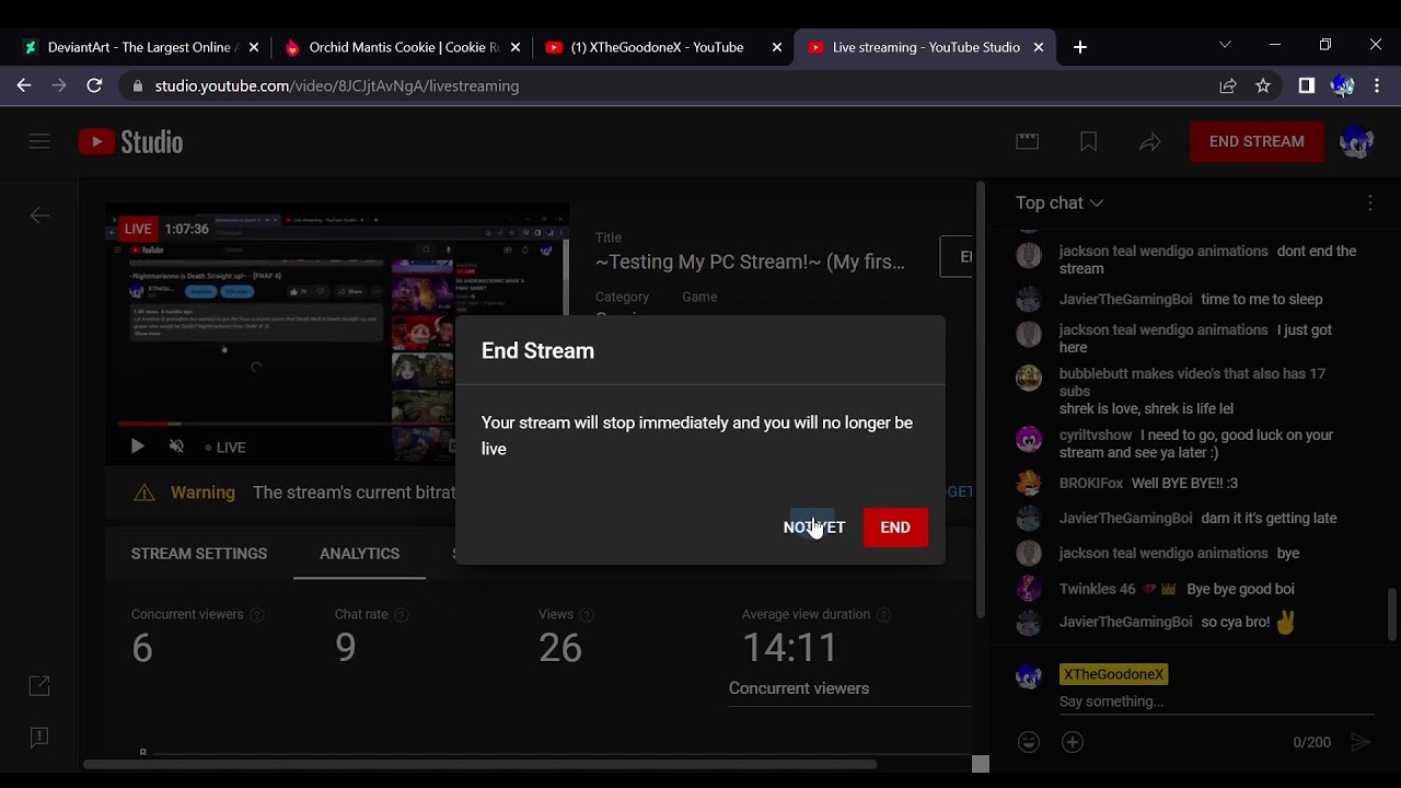 ~Testing My PC Stream!~ (My first time Streaming on PC)