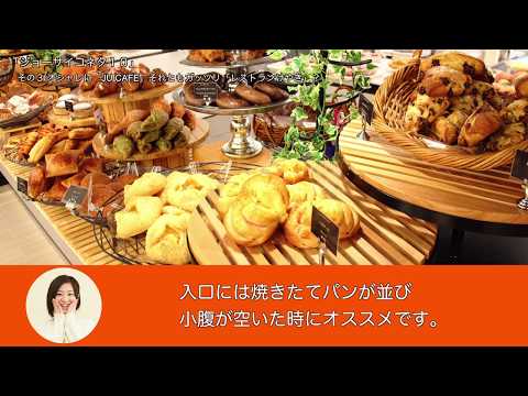 城西大学在学生が教える　城西コネタ１０ 【#城西大学】