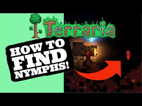 EASIEST WAY TO FIND NYMPHS! (Metal Detector) - Terraria 1.4 (Read Description)